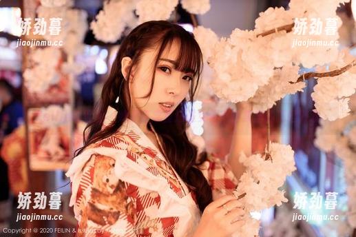 Feilin嗲囡囡 - 她是江念鱼还是女仆？合集里的猜谜游戏