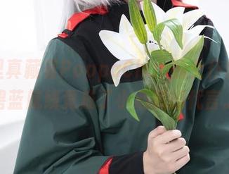网盘里真藏着PoppaChan的女仆秘笈，碧蓝航线竟成了小心机的代言。