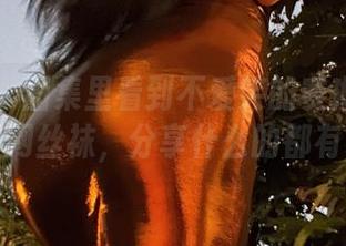 微密圈 – 图集里看到不爱笑的赛琳的西服与渔网丝袜，分享什么的都有了！