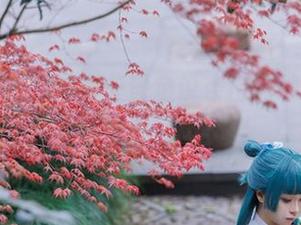 分享原图，因为矢量鱼说杏山和纱真的蛮重要